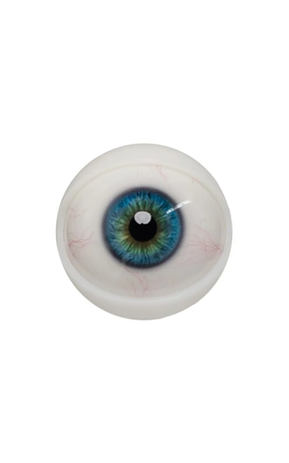 Olhos mecanizados para cabeças de silicone duro SiliconGirls