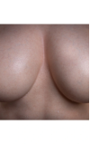 Torso Olivia da LoveNestle • SiliconGirls