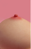 Pechos Muse de LoveNestle • SiliconGirls