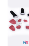 Dientes de resina SEDoll