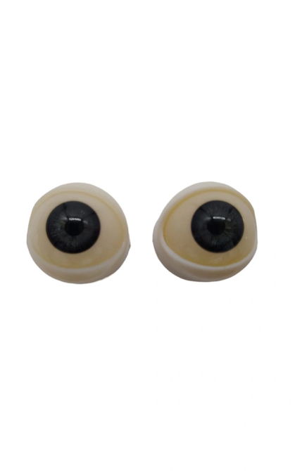 Olhos para Sex Doll com cabeça Hard Silicone. • SiliconGirls