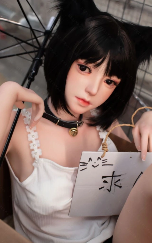Yumi, a tua gatinha à procura de um lar • SiliconGirls