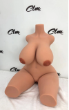 Torso Tasha