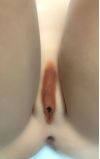 Torso Tasha