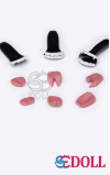 Dientes de resina SEDoll
