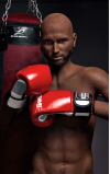 Kelvin, o teu campeão pugilista • SiliconGirls