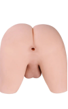 Torso Shemale Sarina