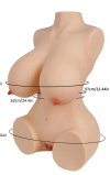 Torso Nicole