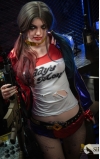 Harley