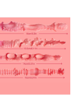 Culo Mia con Vagina Extraíble