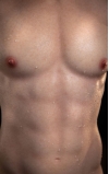 Torso masculino Chris da LoveNestle • SiliconGirls