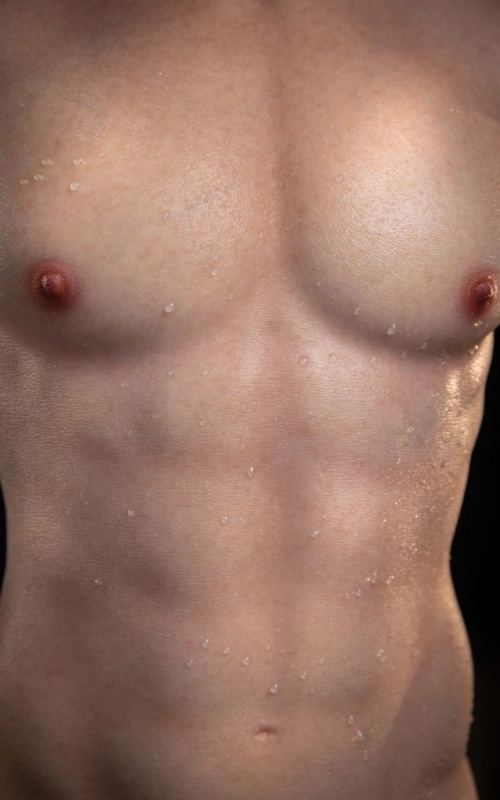 Torso masculino Chris da LoveNestle • SiliconGirls