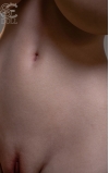 Torso Sophia Lane
