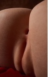 Torso Livia, criada para te satisfazer • SiliconGirls