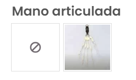 esqueleto y manos