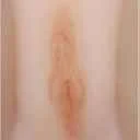 Marrón claro +33 $