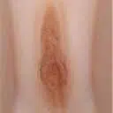 Marrón oscuro +33 $