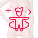 Caderas y cintura robot doll +349 $