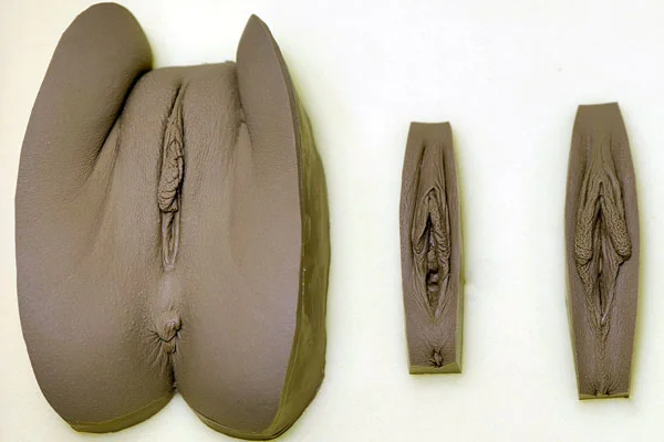 real lady vagina mejorada