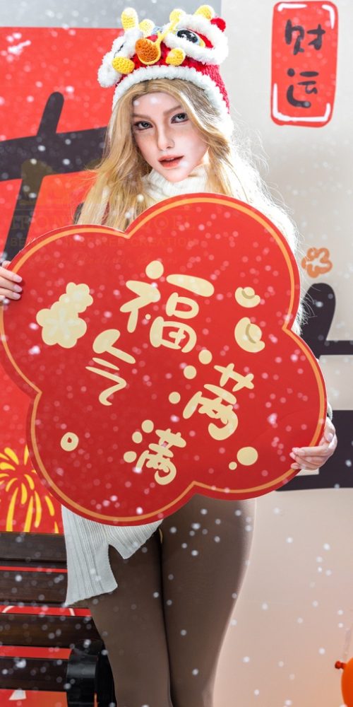 vivian 163c s31 irontech doll 08