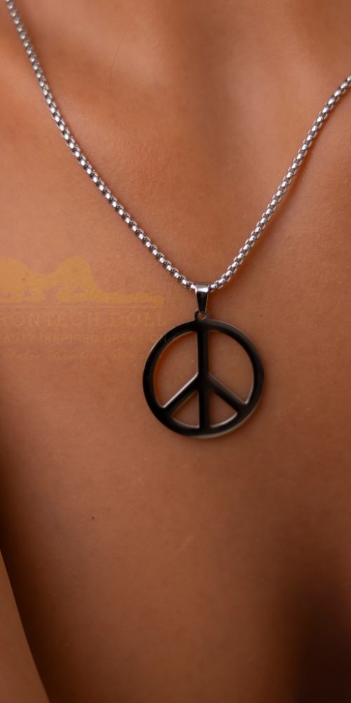 anie 169b s45 irontech doll 30