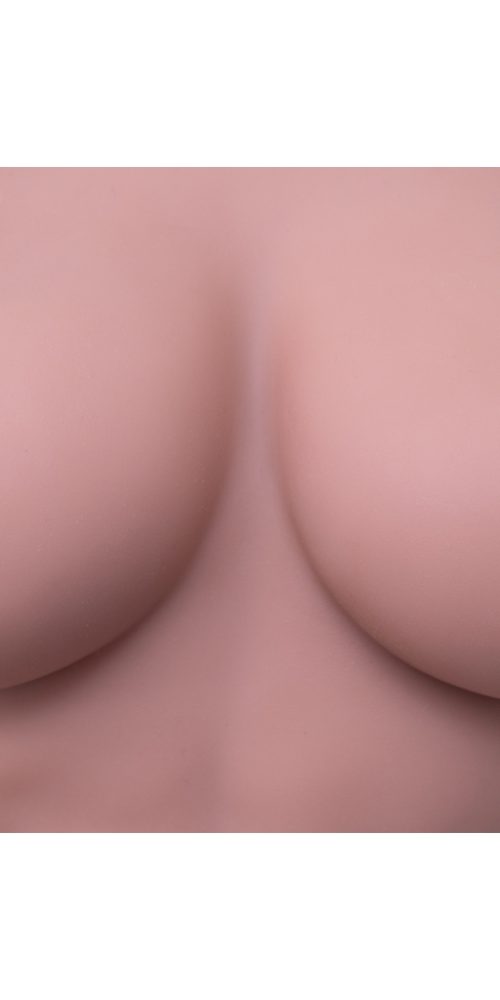 hazzel 163d 127 sed301 13