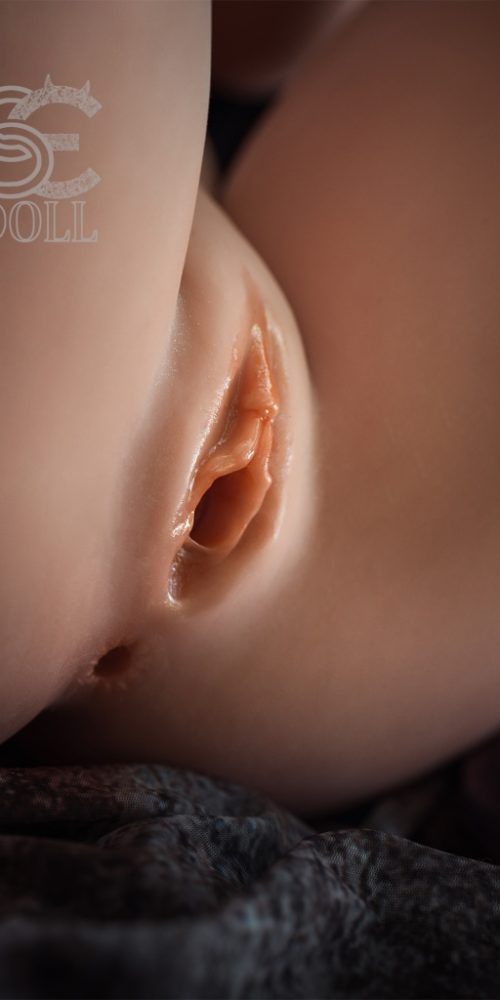 aeleria 161f 021 tpe sed318 22