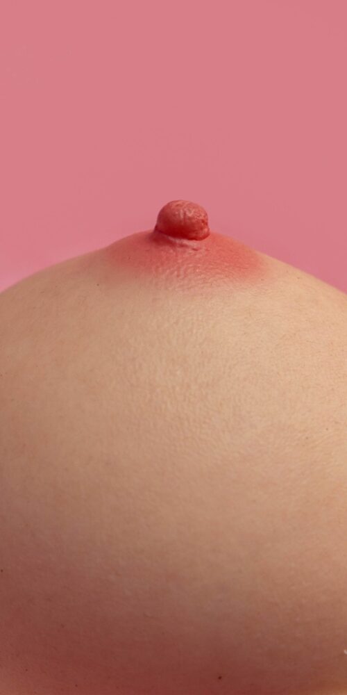 pechos muse fair lovenestle 19