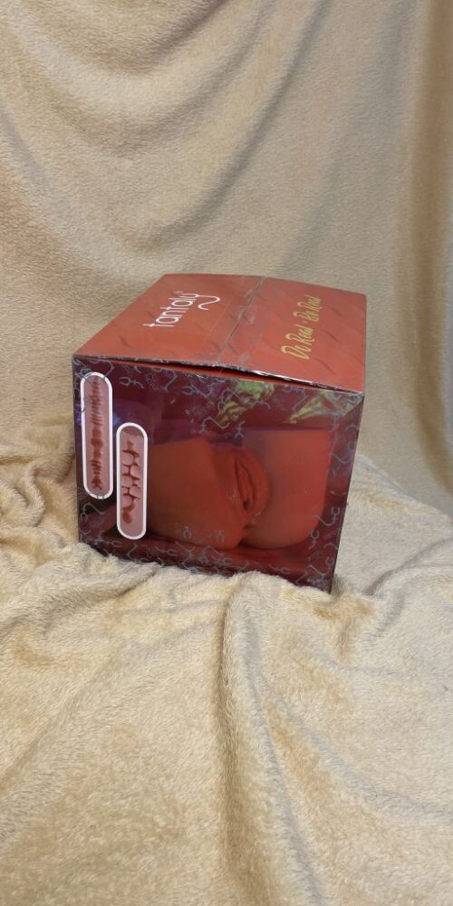 nina joyce tantaly silicongirls 10