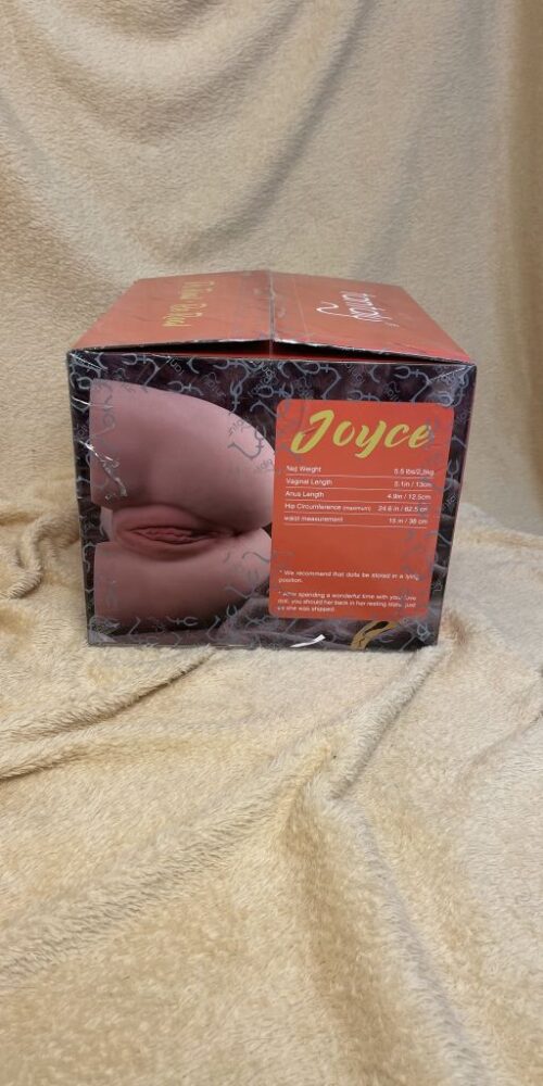 nina joyce tantaly silicongirls 11