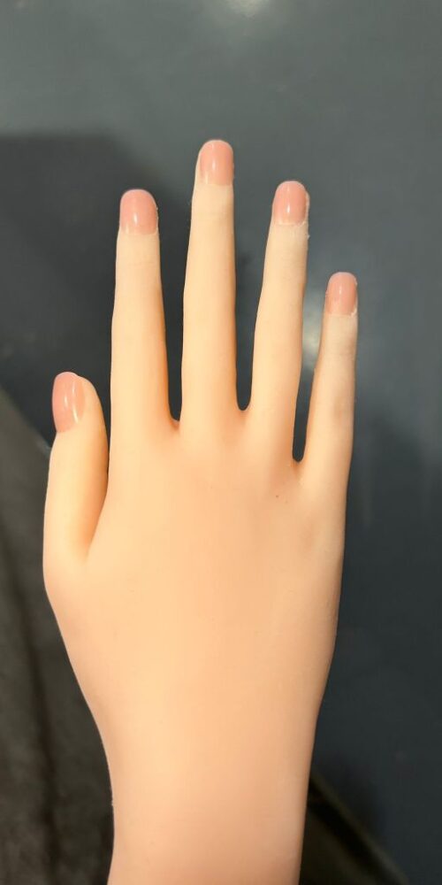 cecilia 163 sg2 factory hybrid nature sigafun 06