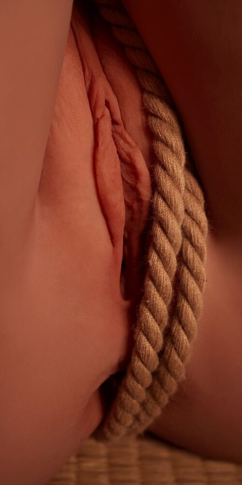 tasha fd154 tasha hybrid black climax pro 07