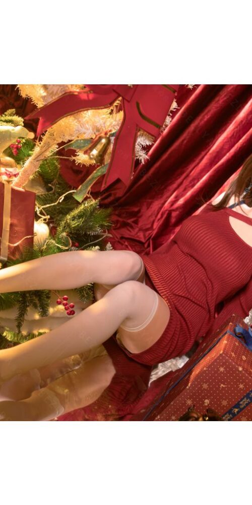 begonia chrismas 22 163 begonia silicone 0227 bezlya 01