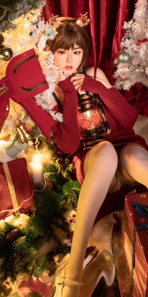 begonia chrismas 22 163 begonia silicone 0227 bezlya 17