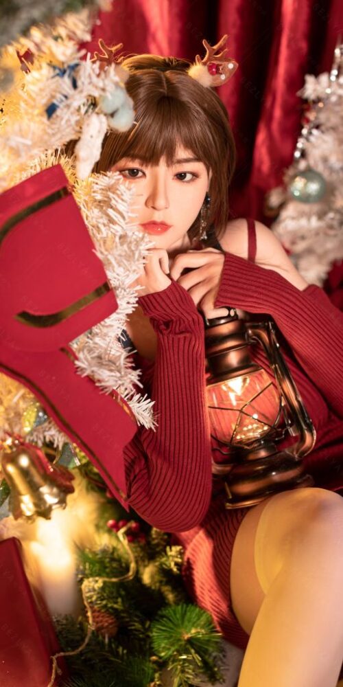 begonia chrismas 22 163 begonia silicone 0227 bezlya 18