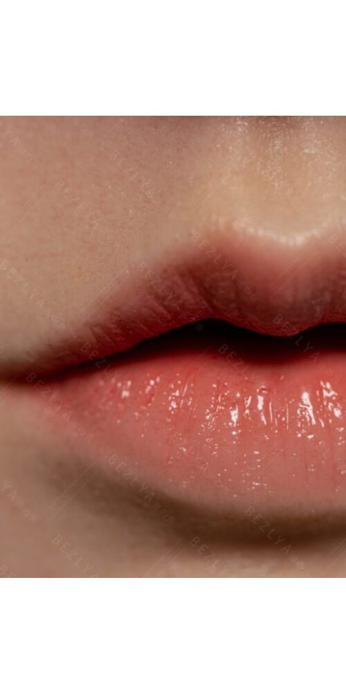 begonia estudiante 20 163 begonia hybrid 0155 bezlya 14