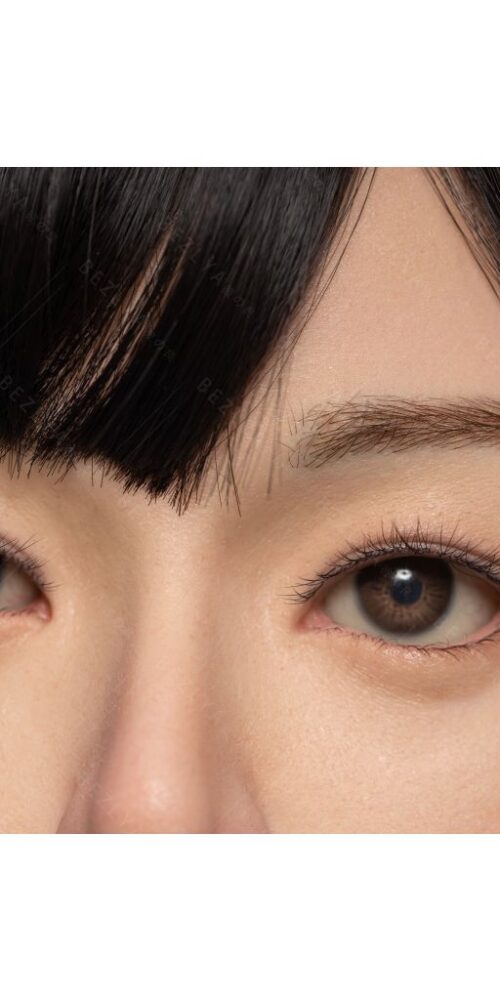 begonia estudiante 20 163 begonia hybrid 0155 bezlya 15