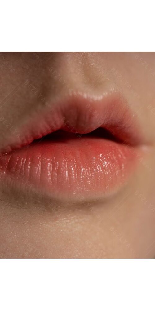 begonia estudiante 20 163 begonia hybrid 0155 bezlya 16