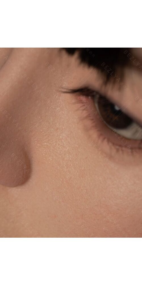 begonia estudiante 20 163 begonia hybrid 0155 bezlya 18