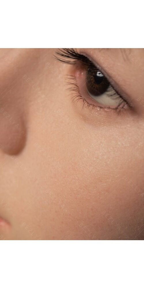 begonia estudiante 20 163 begonia hybrid 0155 bezlya 19