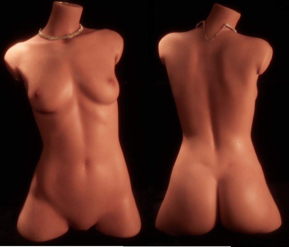 body climax torso 661