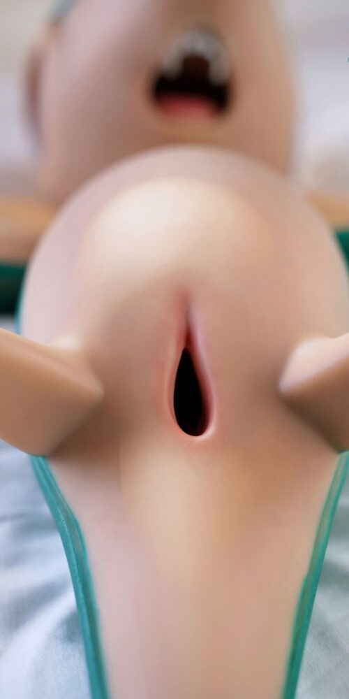 snivy 80 pokemon silicone dolls castle 10