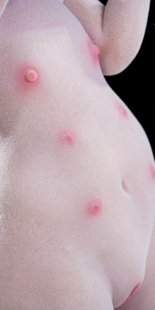 bearrie 90 furry silicone dolls castle 21