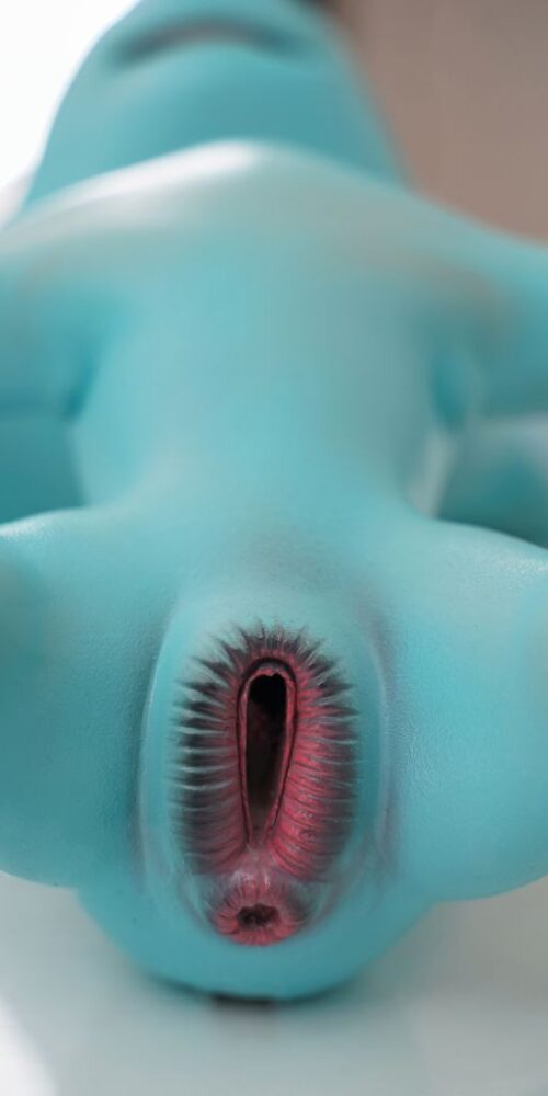 pony 46 silicone dolls castle 24