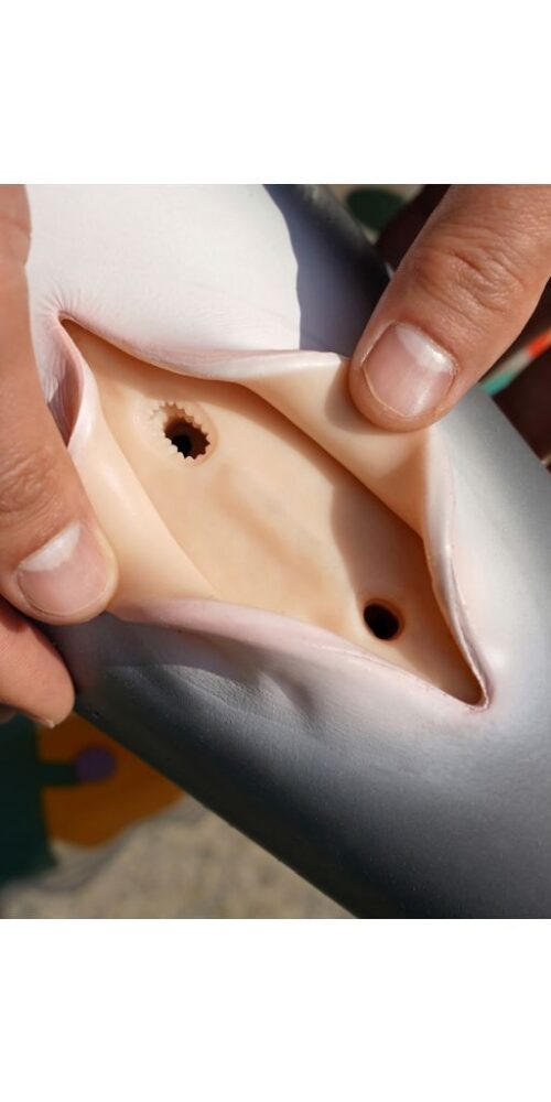 flipper 130 dolphin silicone dolls castle 12