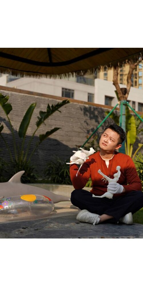 flipper 130 dolphin silicone dolls castle 16