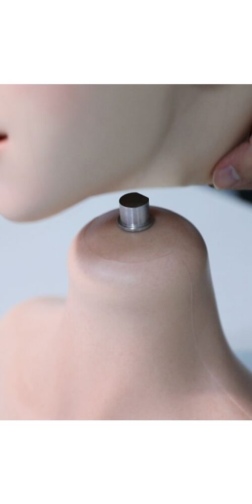 annika sexbot ai head sedoll 26